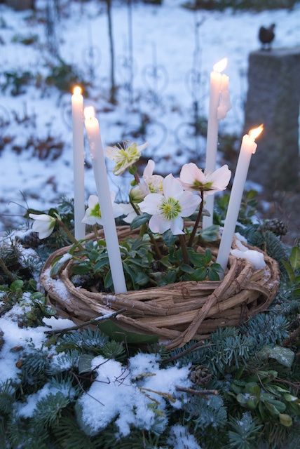 IMBOLC: THE PAGAN FESTIVAL OF REBIRTH